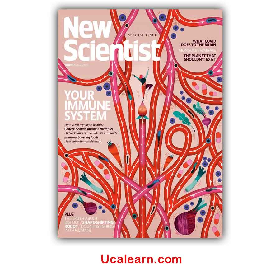 New Scientist 04 February 2023