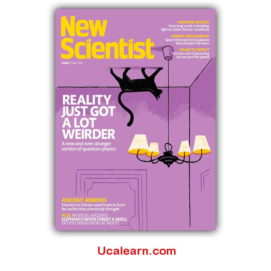 New Scientist 4 March 2023 issue 3428