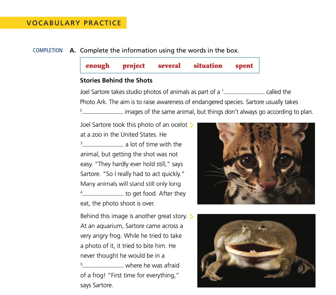 vocabulary practice