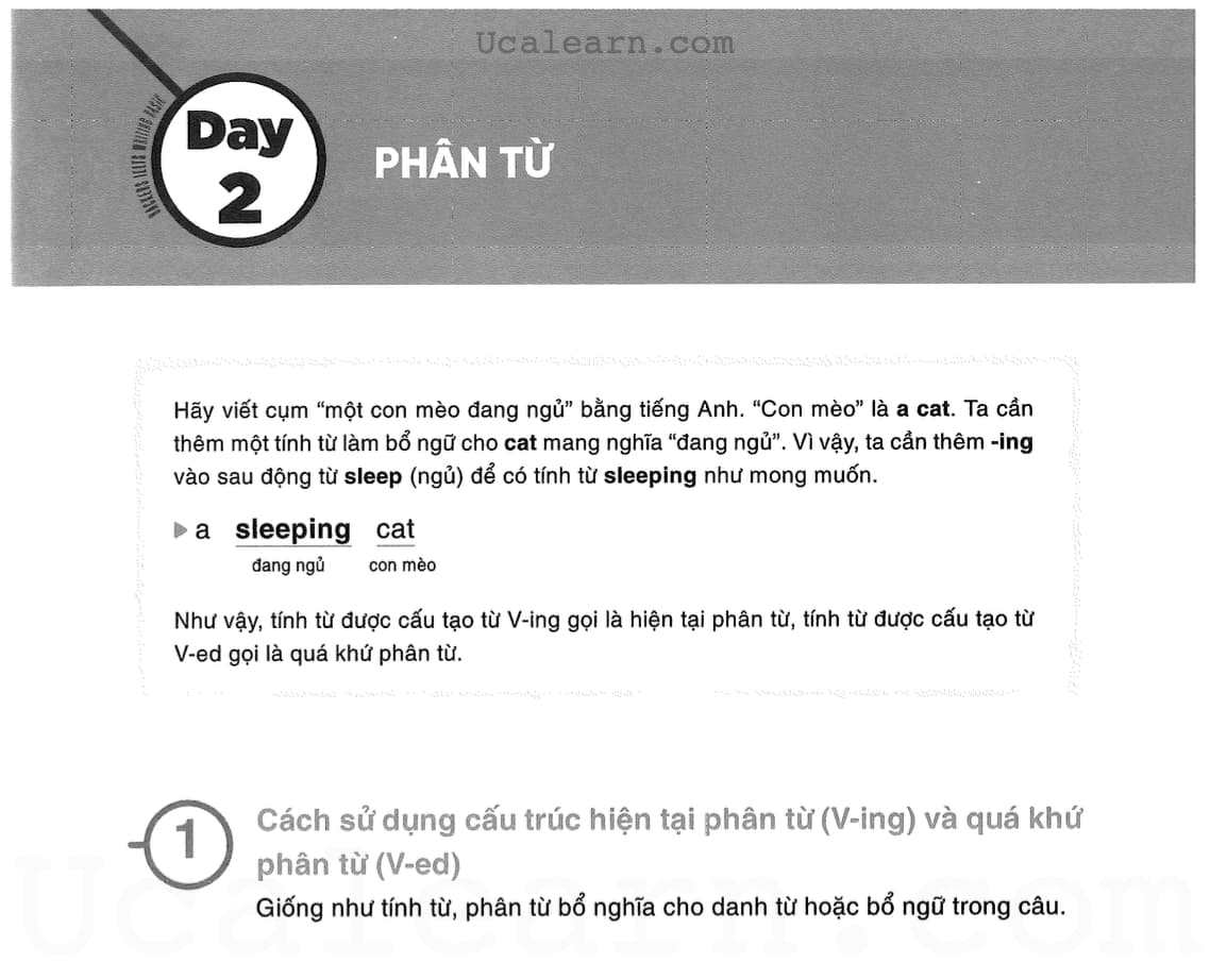 Day 2 - phân từ