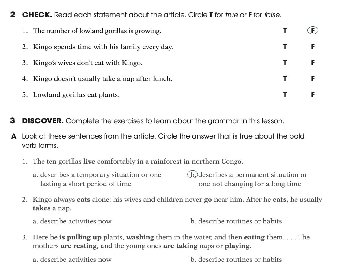 grammar explorer 3 online homework