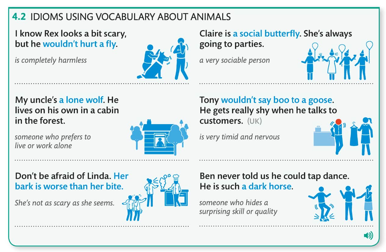 idioms about aniamls