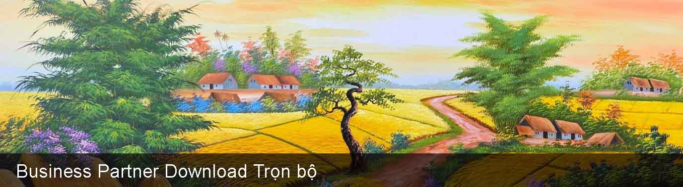 Business Partner Download Trọn bộ
