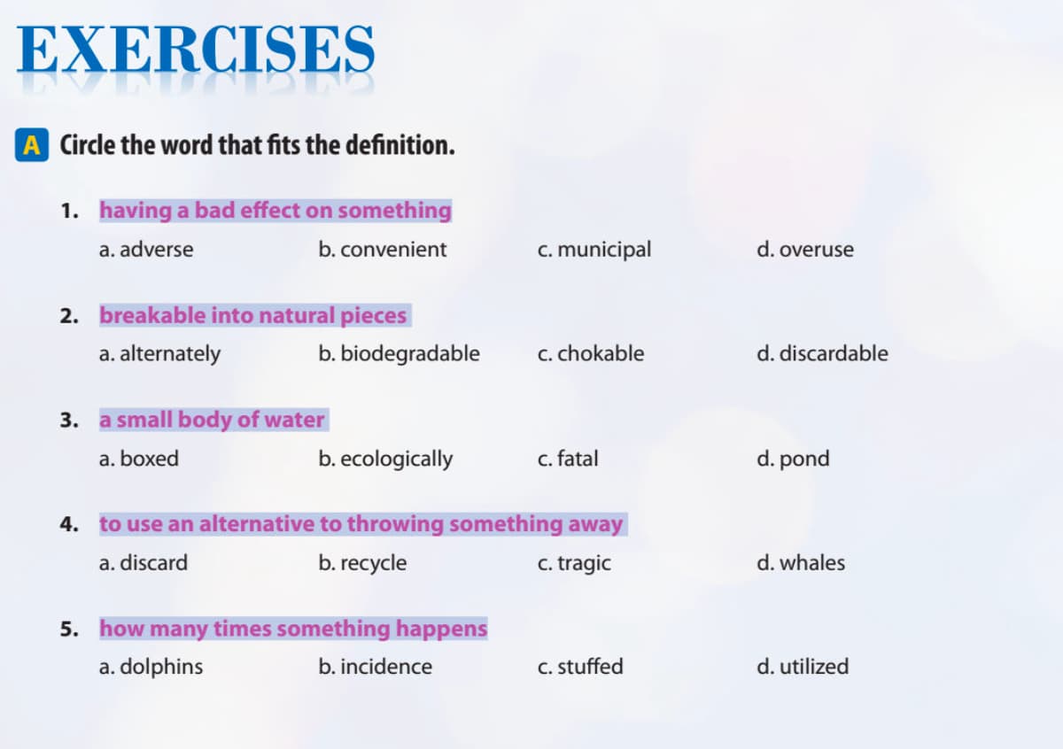 Exercise on 4000 Essential English words 6