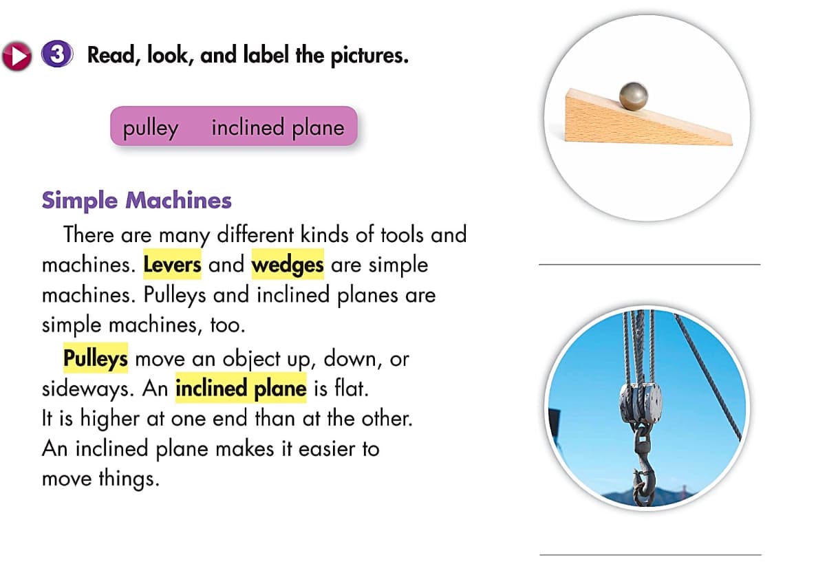 Read, Look and label picture Exercise in Shake Up Science by Pearson